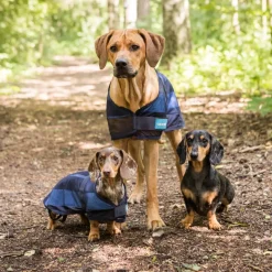 Back on Track Viilentävä koirantakki 2.0
