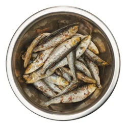 Best Barf Kilohaili 100 g pakastekuivattu