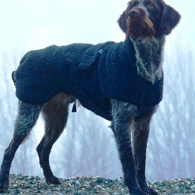 Canelana Ambassador koiran villatakki
