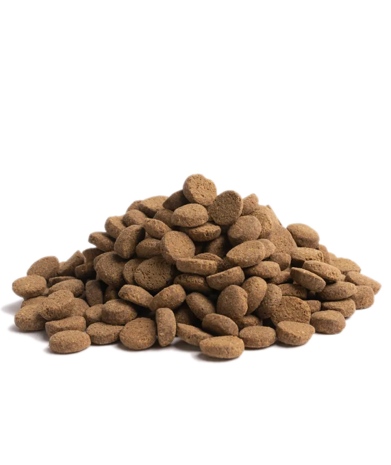 ESSENTIAL OLDER 10 kg viljaton kuivaruoka