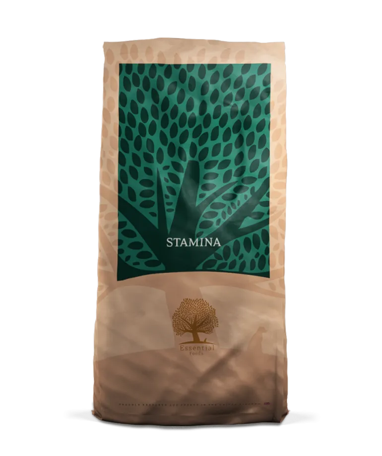 ESSENTIAL STAMINA 10 kg viljaton kuivaruoka