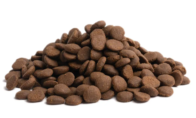 ESSENTIAL STAMINA 10 kg viljaton kuivaruoka