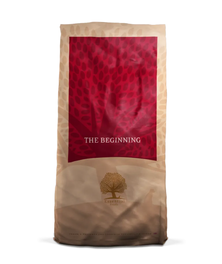 ESSENTIAL THE BEGINNING 10 kg viljaton penturuoka