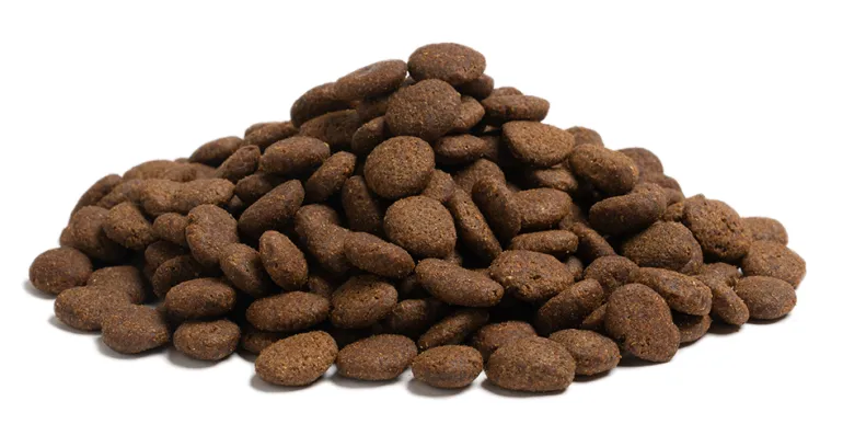 ESSENTIAL THE BEGINNING LARGE BREED 10 kg viljaton penturuoka