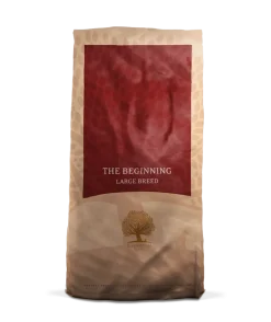 ESSENTIAL THE BEGINNING LARGE BREED 10 kg viljaton penturuoka