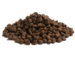 ESSENTIAL THE BEGINNING SMALL BREED 2,5 kg viljaton penturuoka