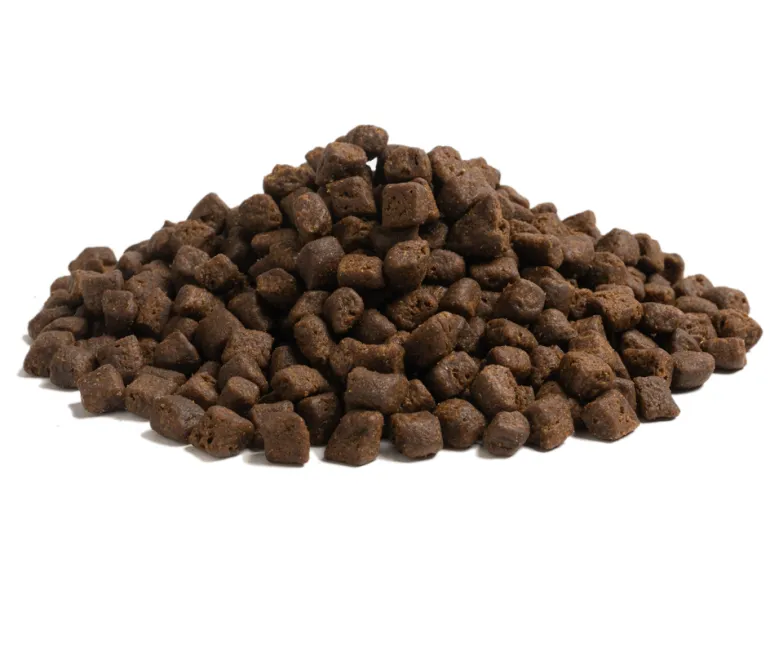 ESSENTIAL THE BEGINNING SMALL BREED 2,5 kg viljaton penturuoka