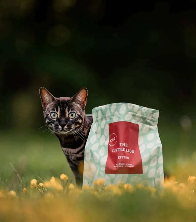 ESSENTIAL The Little Lion 1,5 kg kissan kuivaruoka