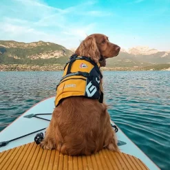 Ezydog koiran pelastusliivi
