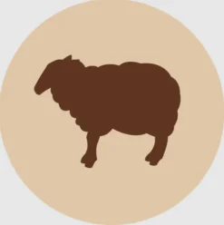 Fanimal Lampaan luut 2 kg