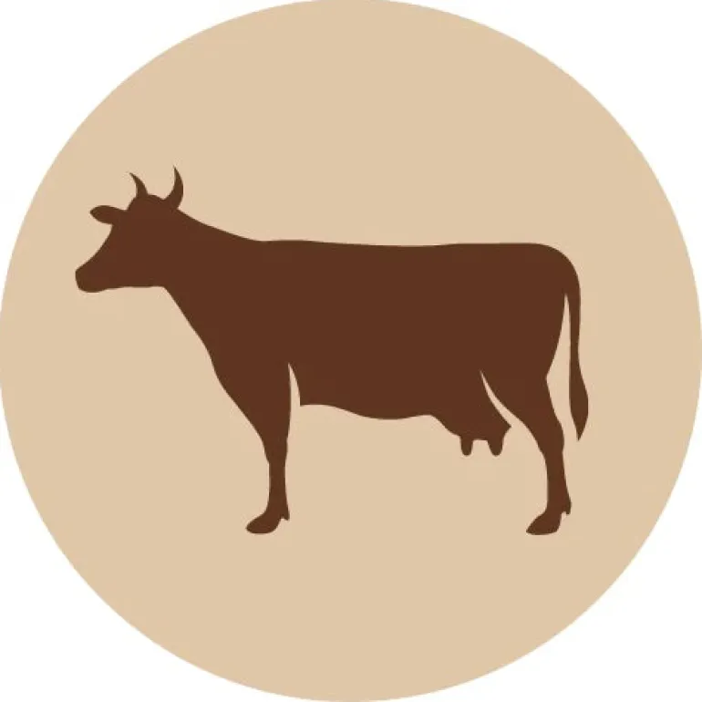 Fanimal Naudan munuainen 600 g