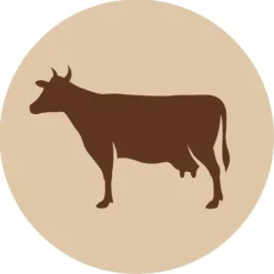 Fanimal Naudan sekaluut 3 kg