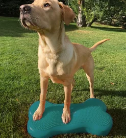 FitPAWS K9FITbone tasapainoalusta, aqua