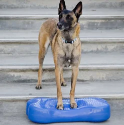 FitPAWS K9FITbone tasapainoalusta, vihreä