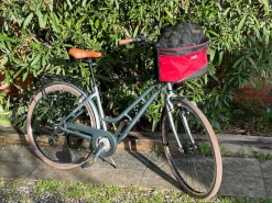 Freedog Bike Bag pyöräkori lemmikille