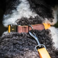 Freedog Linum Collar koiran kaulapanta, keltainen