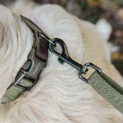 Freedog Linum Collar koiran kaulapanta, vihreä