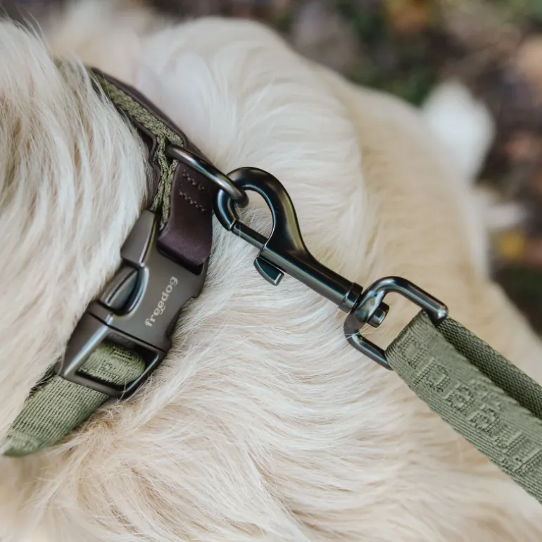 Freedog Linum Collar koiran kaulapanta, vihreä