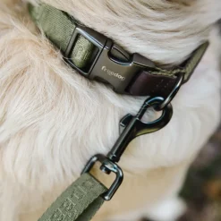 Freedog Linum Leash säädettävä koiran talutushihna, vihreä