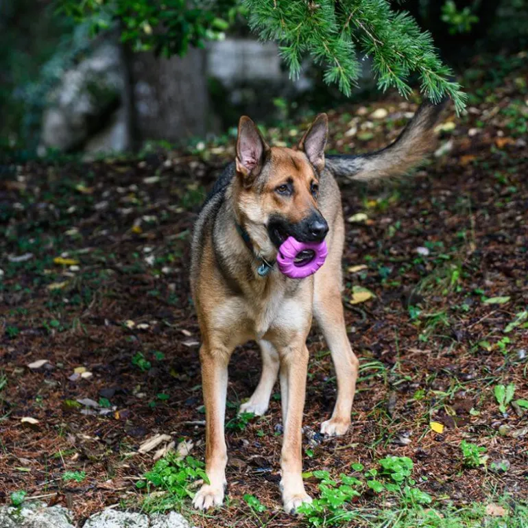 Freedog Rubber Snack aktivointilelu rengas, violetti