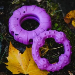 Freedog Rubber Snack aktivointilelu rengas, violetti