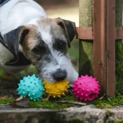 Freedog Rubber Snack emoji