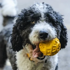 Freedog Rubber Snack tiikki