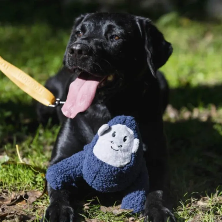 Freedog Tough gorilla pehmolelu