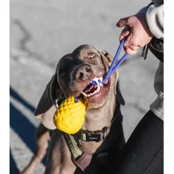 Freedog Zygo ananas vetolelu