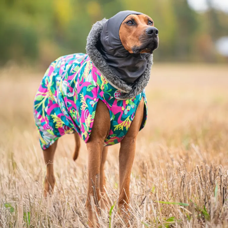 HuppuPomppa Graphite