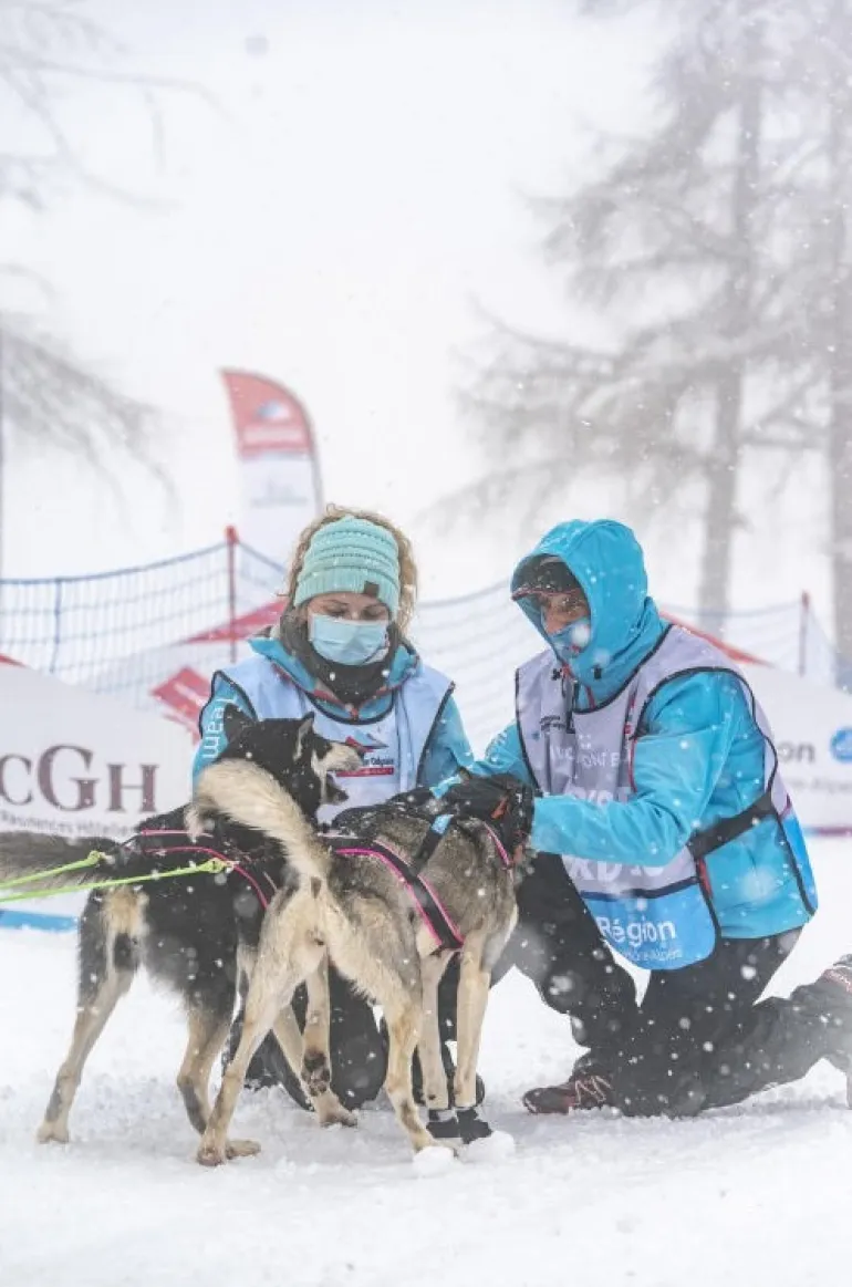 Inlandsis Polar Quest koiran vetovaljaat, pinkki-musta