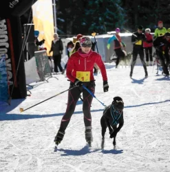 Inlandsis Polar Quest koiran vetovaljaat, pinkki-musta