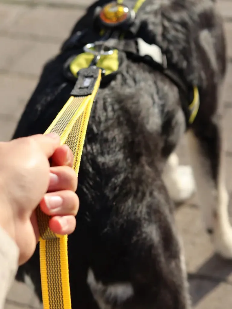 JALEN SUPERGRIP talutin kahvalla Twistlock 2,5 m, oliivi