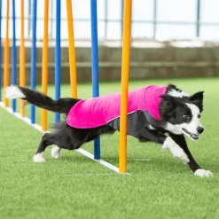 JumppaPomppa Pinkki