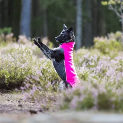 JumppaPomppa Pinkki