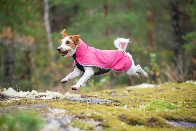 JumppaPomppa Pinkki