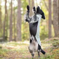 JumppaPomppa Usnea