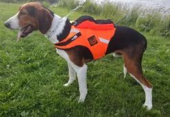 Kardog Raipe GPS-huomioliivi
