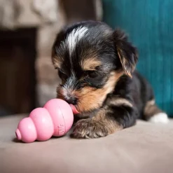 Kong Puppy koiranpennun aktivointilelu