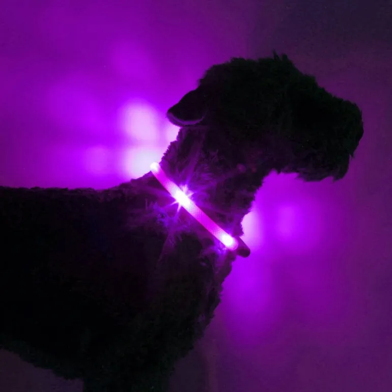 Leuchtie Easy Charge ladattava koiran valopanta, lavender