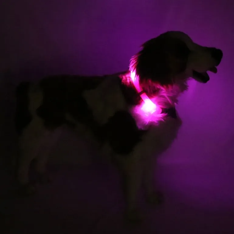 Leuchtie Plus koiran valopanta, pinkki