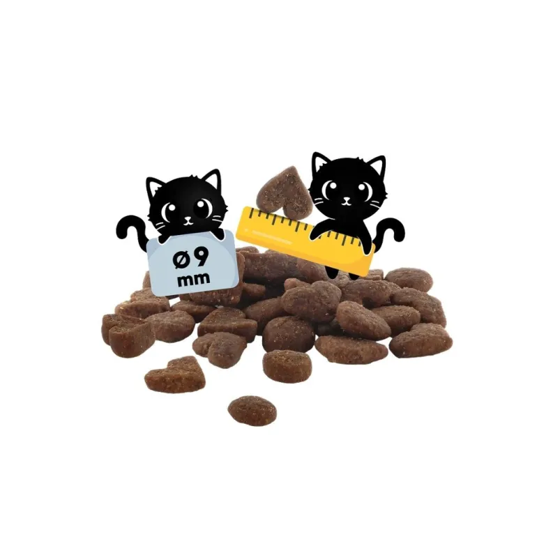 Lucky Lou Kitten siipikarja ja kana kissan kuivaruoka 340 g