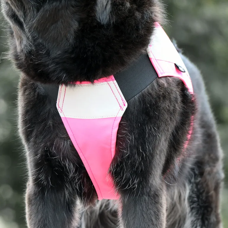 Maike Softshell koiran huomioliivi, pinkki