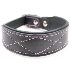 Nahka-Nasta Leveä koiran nahkapanta 35mm, musta-violetti