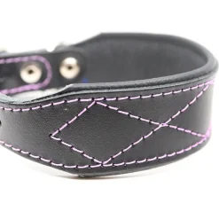 Nahka-Nasta Leveä koiran nahkapanta 35mm, musta-violetti