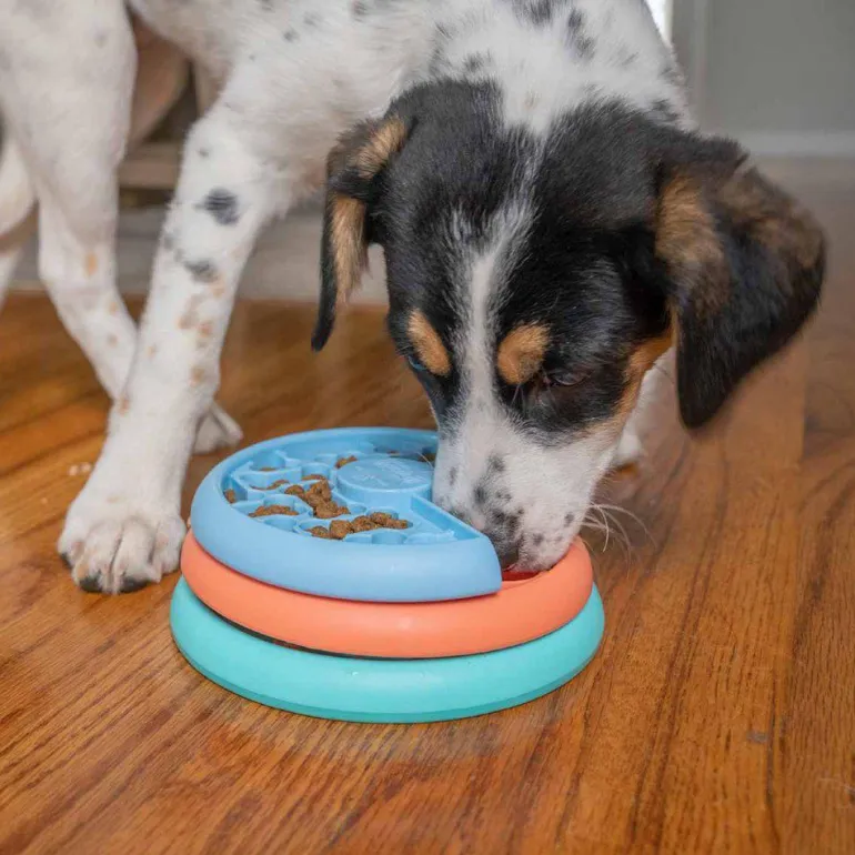 Nina Ottosson Oh Puppy Lickin Layers