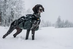 Non-stop dogwear Amundsen koiran reppu