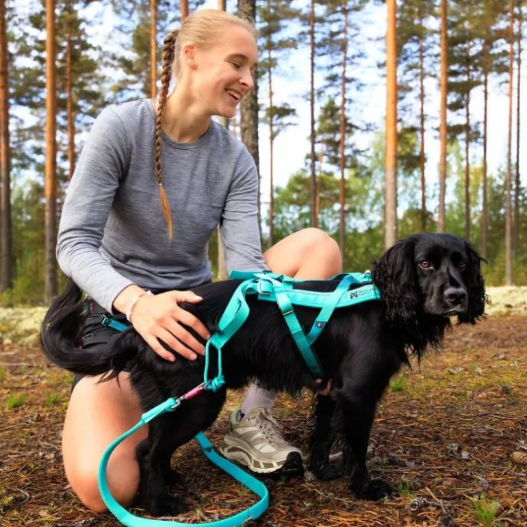 Non-stop dogwear Bungee leash joustotalutin, aqua