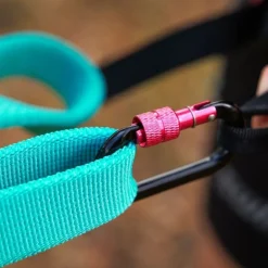 Non-stop dogwear Bungee leash joustotalutin, aqua