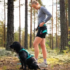 Non-stop dogwear Canix belt 2.0 vetovyö, aqua